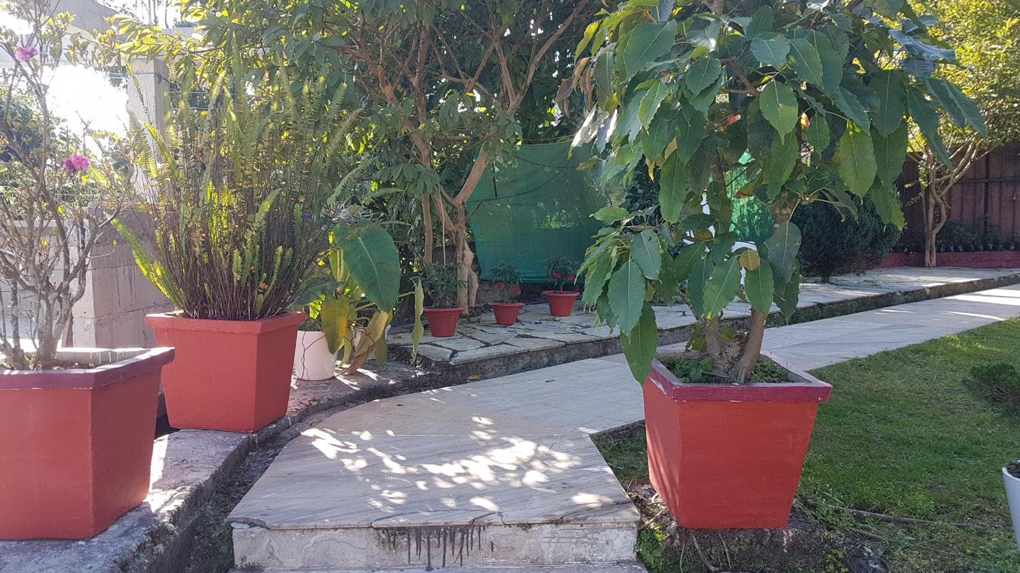Takdah Heritage Bungalow No 10 Kültér fotó